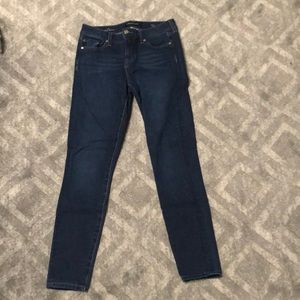 LIVERPOOL JEANS the Ankle Skinny size 2/26